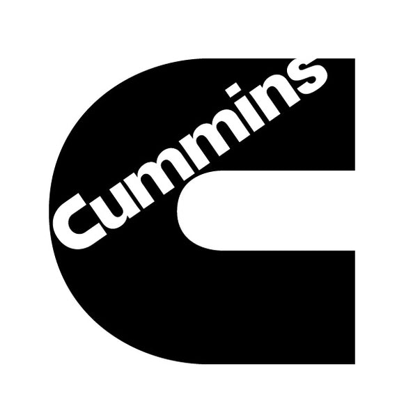 2006 - 2021 Cummins Delete tunes with Efilive